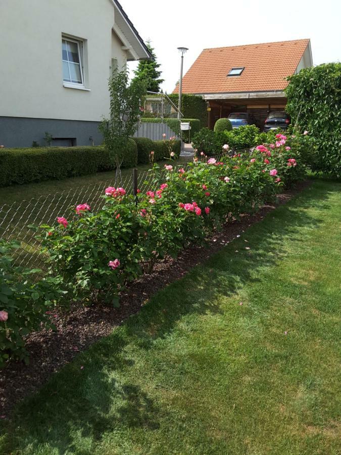 Ferienwohnung Schubert Sagard Exterior photo